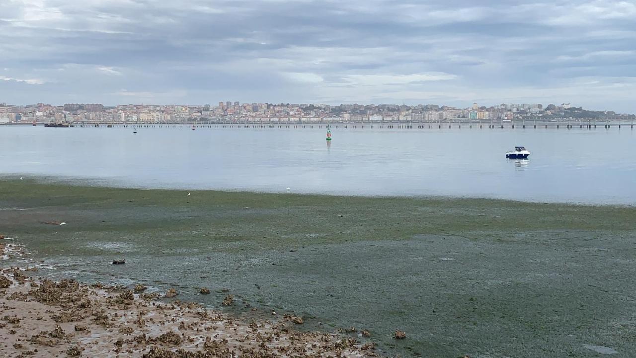 Apartamento Puerto Deportivo Marina De Santander Eksteriør billede